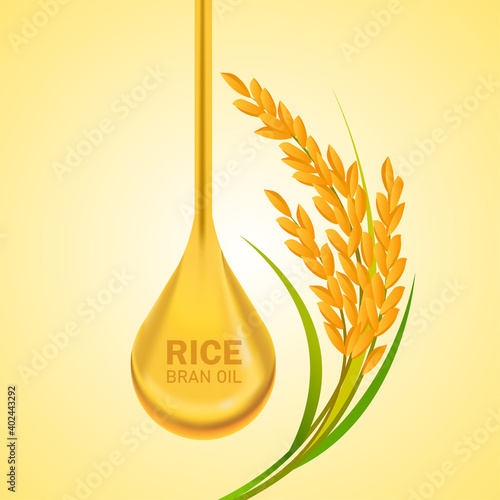 Premium Rice great quality design concept  vector.