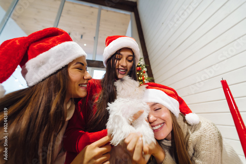 Several girls play with a small dog on New Years Eve