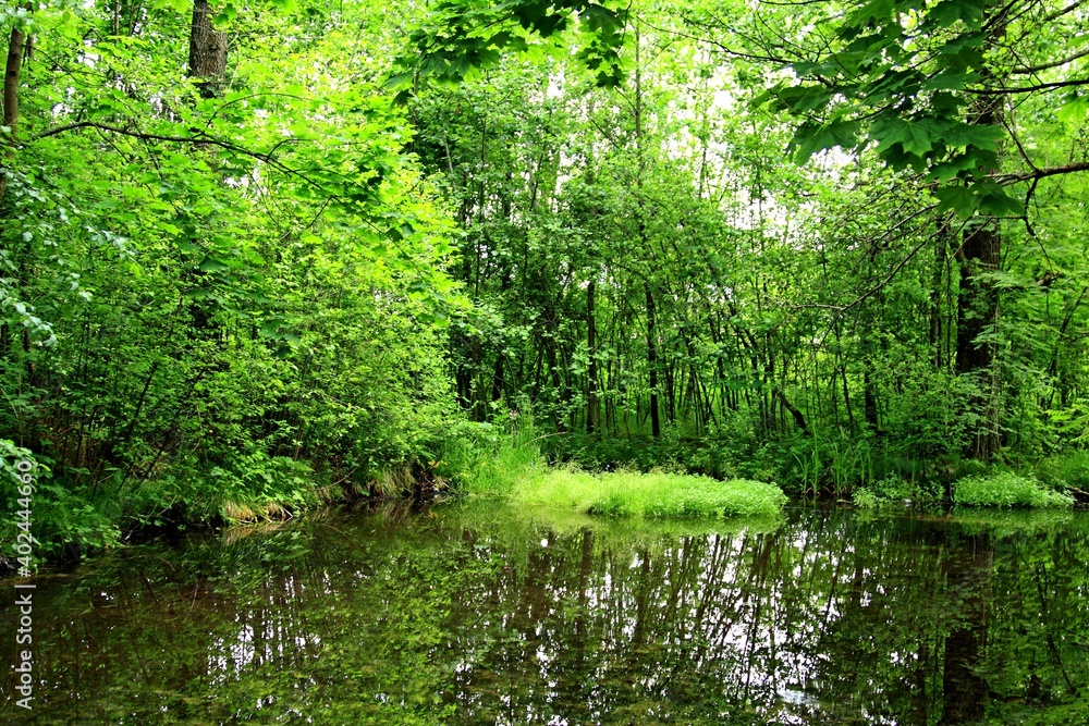 Zabytki, Natura, Religia, Kapliczki, Kościółki Zabytki, Natura, Religia, Kapliczki, Kościółki