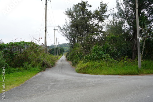 西表島の細い道路