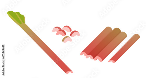 Rhubarb, whole and chopped. Vector illustration