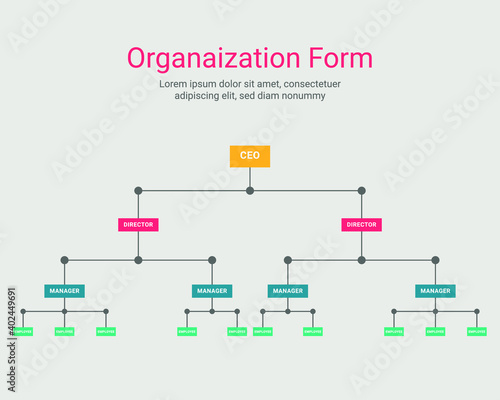 colorful organization diagram form infographic vector template