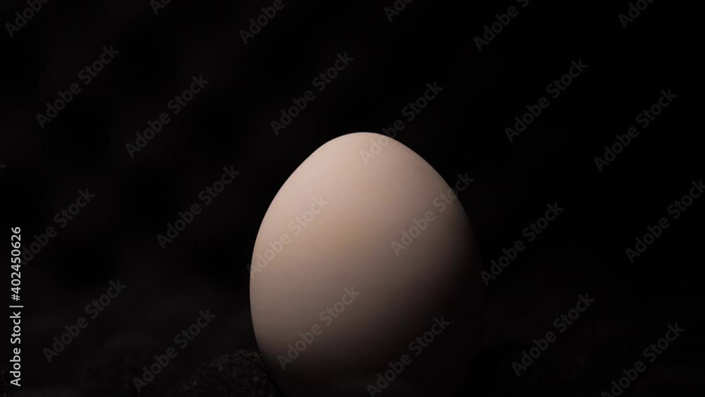 Light moving horizontally from left to right revealing one beige egg on dark background. Slow motion Light moving horizontally from left to right revealing one beige egg on dark background. Slow motion