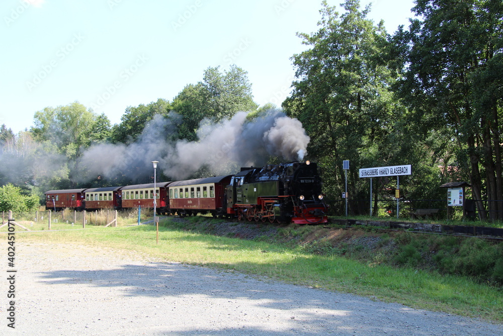 Obraz premium Hiking on the Selketalstieg (Harz, Germany), Wandern auf dem Selketalstieg im Harz, steam train in Stolberg