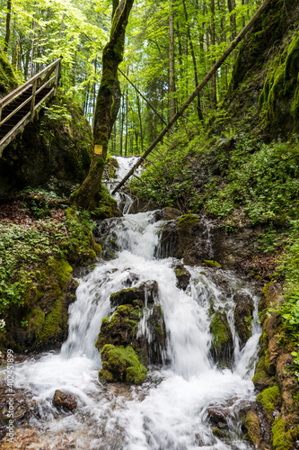 Wasserfall im Wald