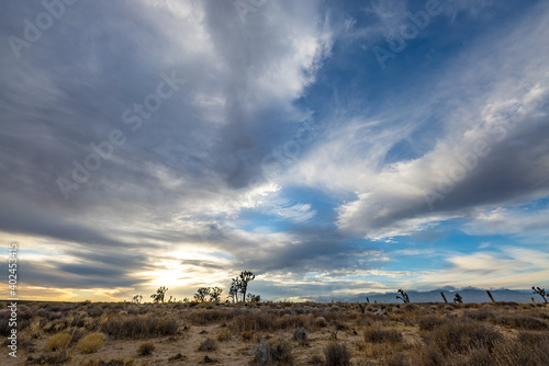 blue Skies and white clouds