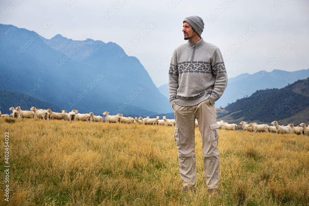 Man with merino wool sweater and hat in front of merino sheep Man with merino wool sweater and hat in front of merino sheep