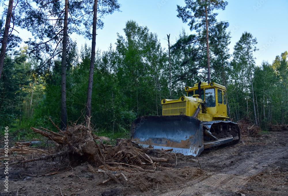 Dozer during clearing forest for construction new road . Yellow