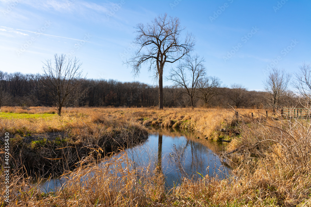 Fototapeta premium Midwest Countryside