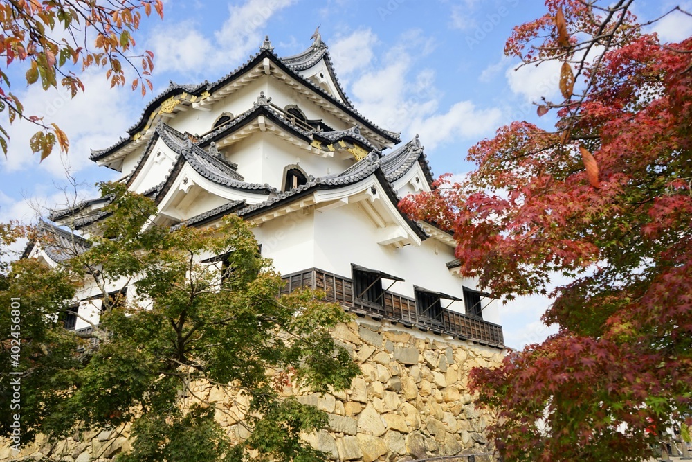 Hikone Castle with red and yellow foliage in Hikone City of Shiga, Japan - 日本 滋賀県 彦根城 秋 紅葉 Hikone Castle with red and yellow foliage in Hikone City of Shiga, Japan - 日本 滋賀県 彦根城 秋 紅葉