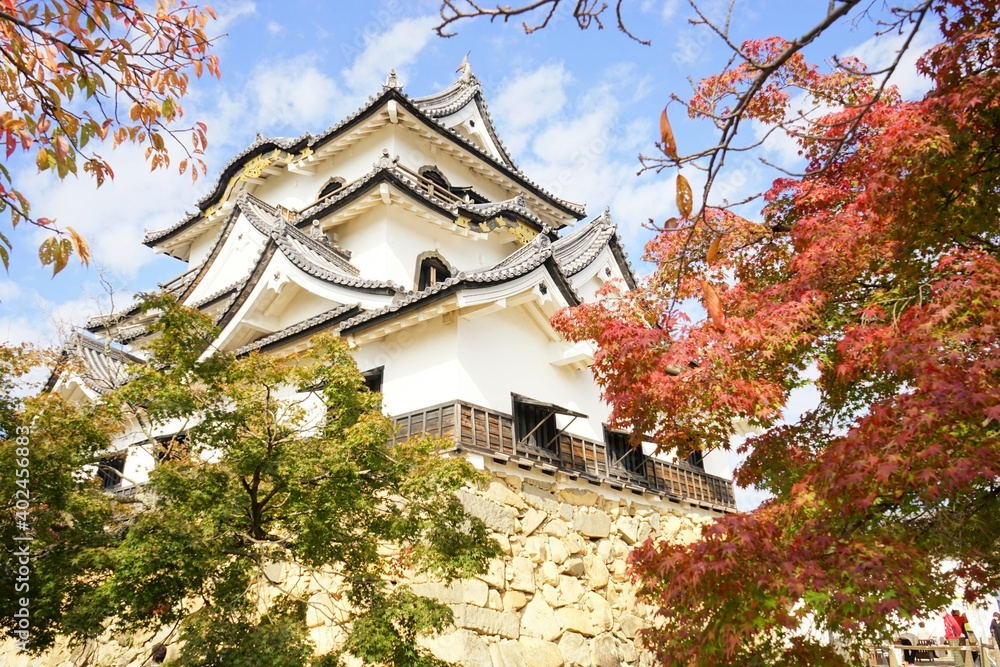 Hikone Castle with red and yellow foliage in Hikone City of Shiga, Japan - 日本 滋賀県 彦根城 秋 紅葉 Hikone Castle with red and yellow foliage in Hikone City of Shiga, Japan - 日本 滋賀県 彦根城 秋 紅葉