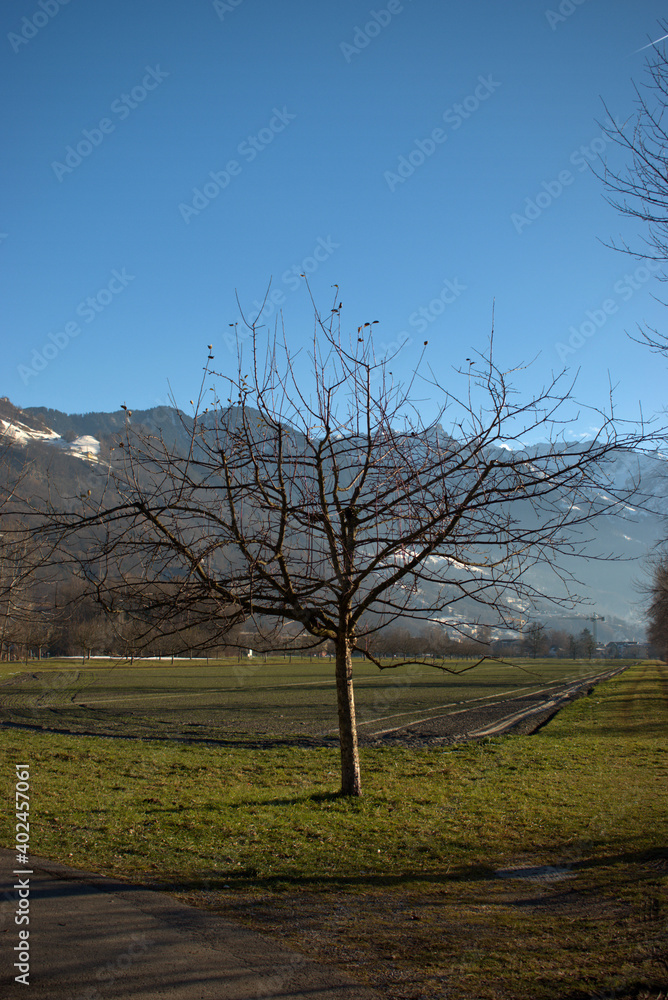 Fototapeta premium Vaduzer Landschaft in Liechtenstein 16.12.2020