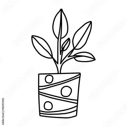 Hand drawn houseplants. Vector illustration of potted plants for home isolated on white background