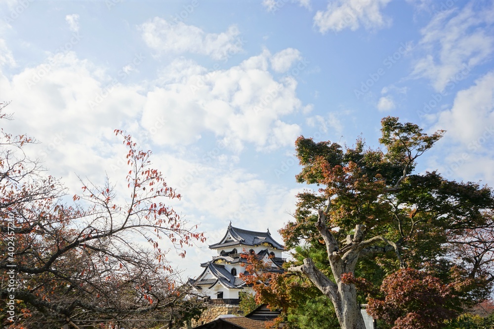 Hikone Castle with red and yellow foliage in Hikone City of Shiga, Japan - 日本 滋賀県 彦根城 秋 紅葉 Hikone Castle with red and yellow foliage in Hikone City of Shiga, Japan - 日本 滋賀県 彦根城 秋 紅葉