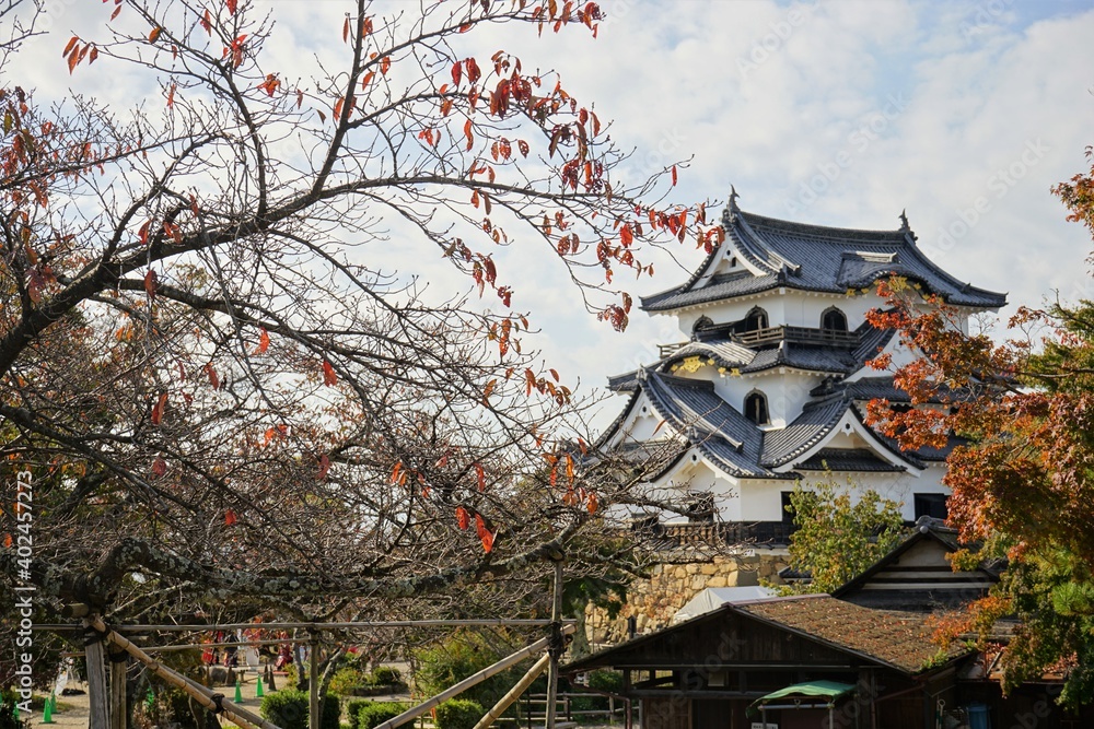 Hikone Castle with red and yellow foliage in Hikone City of Shiga, Japan - 日本 滋賀県 彦根城 秋 紅葉 Hikone Castle with red and yellow foliage in Hikone City of Shiga, Japan - 日本 滋賀県 彦根城 秋 紅葉