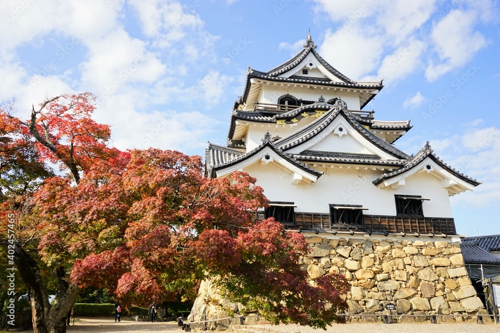 Hikone Castle with red and yellow foliage in Hikone City of Shiga, Japan - 日本 滋賀県 彦根城 秋 紅葉 Hikone Castle with red and yellow foliage in Hikone City of Shiga, Japan - 日本 滋賀県 彦根城 秋 紅葉