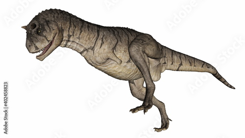 Carnotaurus dinosaur walking and roaring isolated in white background - 3D render