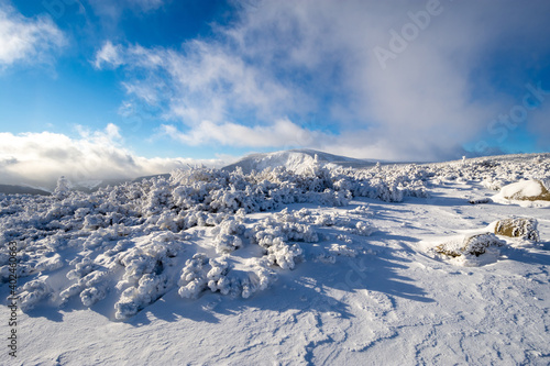 beautiful winter landscape in Karkonosze mountains in Poland © lukaszimilena