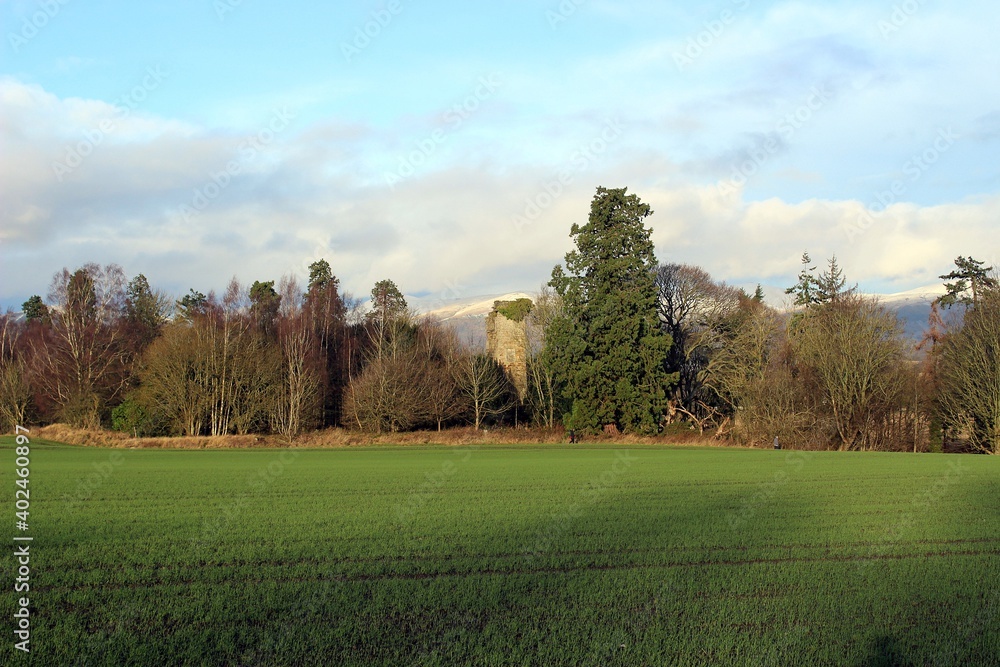 Elphinstone Tower, near Airth, Stirlingshire. Elphinstone Tower, near Airth, Stirlingshire.