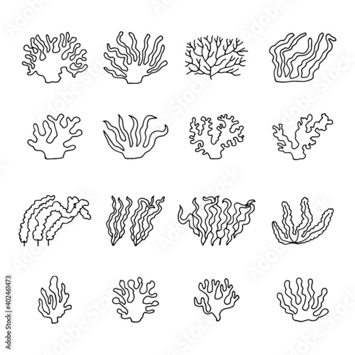 seaweed green linear drawing sketch set