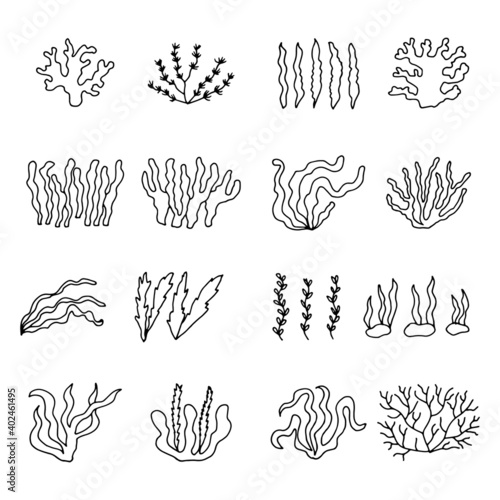algae green drawing set of vector linear icons