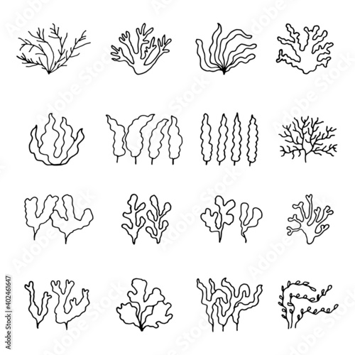 seaweed green linear drawing sketch set