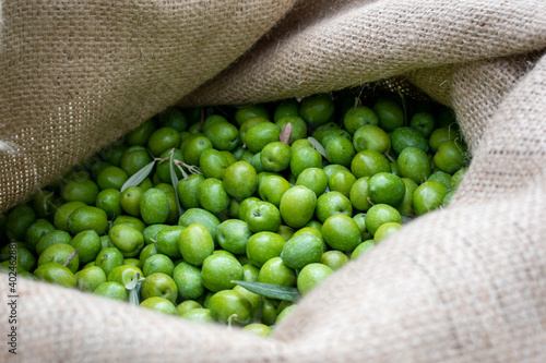 Foto green olives in a sack