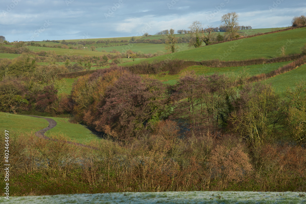 Fototapeta premium Winter in the Woolley Valley, an Area of Outstanding Natural Beauty in the Cotswolds on the outskirts of Bath, England, United Kingdom