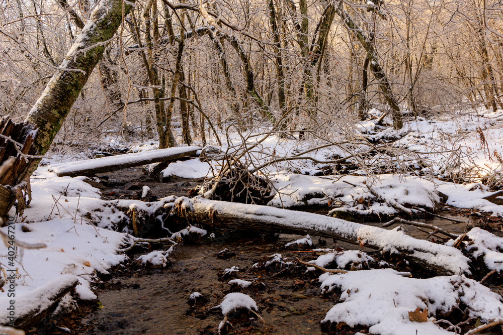 Snow covered log and wooden bridge over rocky stream running through snow and ice in wooded area of Shamokin Springs Snow covered log and wooden bridge over rocky stream running through snow and ice in wooded area of Shamokin Springs