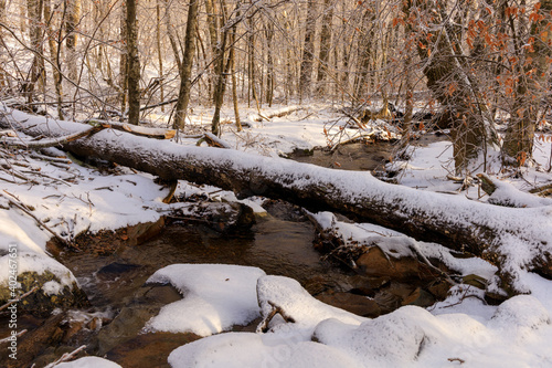 Snow covered log over rocky stream running through snow and ice in wooded area of Shamokin Springs © Mark Eichenberger