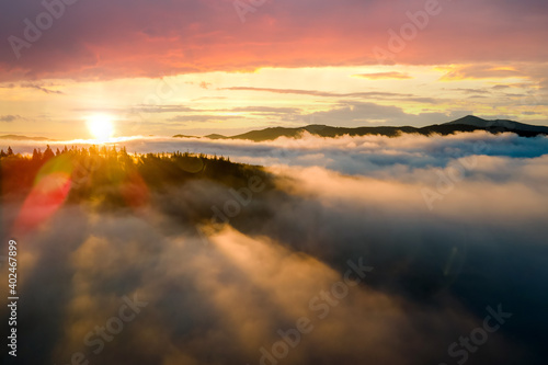 Aerial view of dark green pine trees in spruce forest with sunrise rays shining through branches in foggy fall mountains.