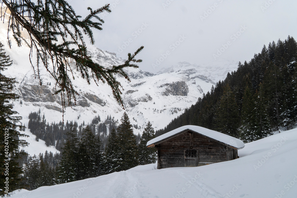 Winterlandschaft mit Alphütte