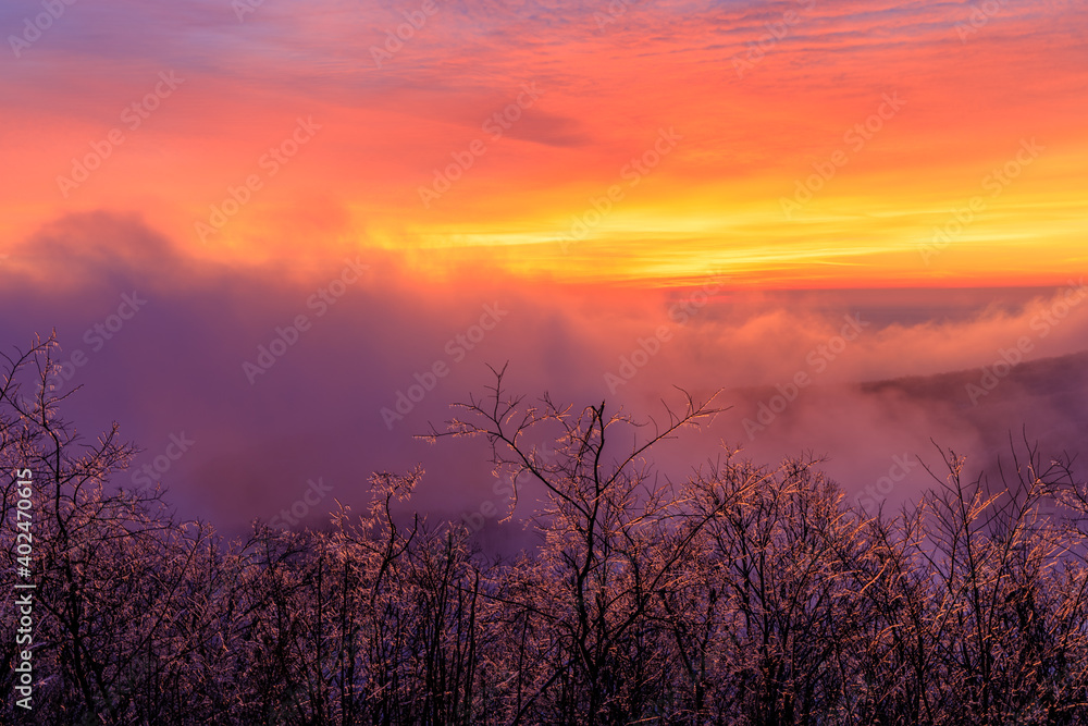 Founder’s Vision Overlook – Sunrise through foggy clouds over Blue Ridge Mountains with ice covered trees with pink, purple and orange clouds