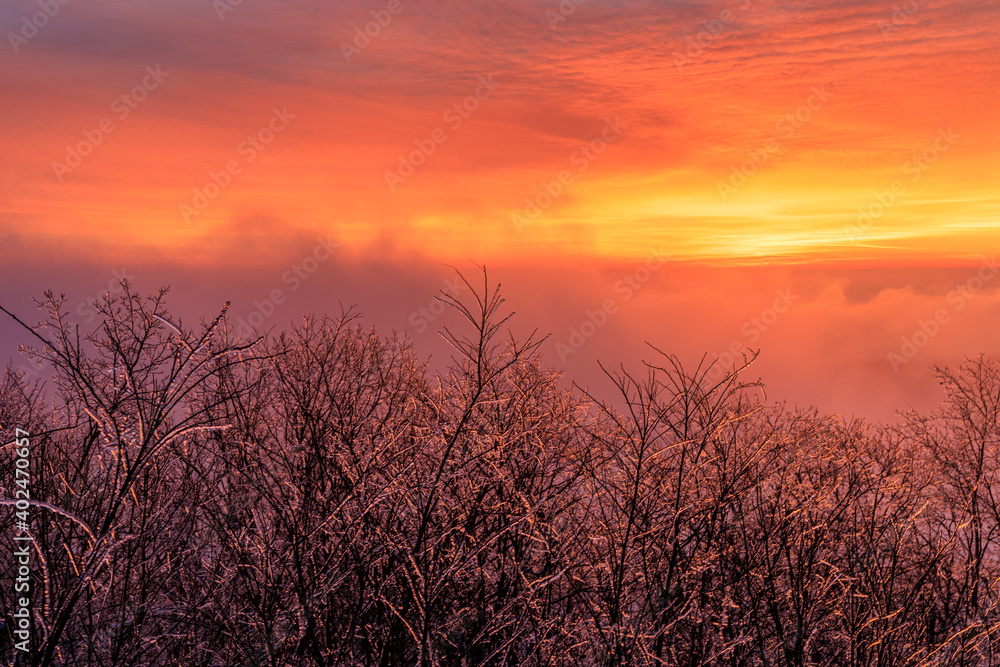 Founder’s Vision Overlook – Sunrise through foggy clouds over Blue Ridge Mountains with ice covered trees with pink, purple and orange clouds Founder’s Vision Overlook – Sunrise through foggy clouds over Blue Ridge Mountains with ice covered trees with pink, purple and orange clouds