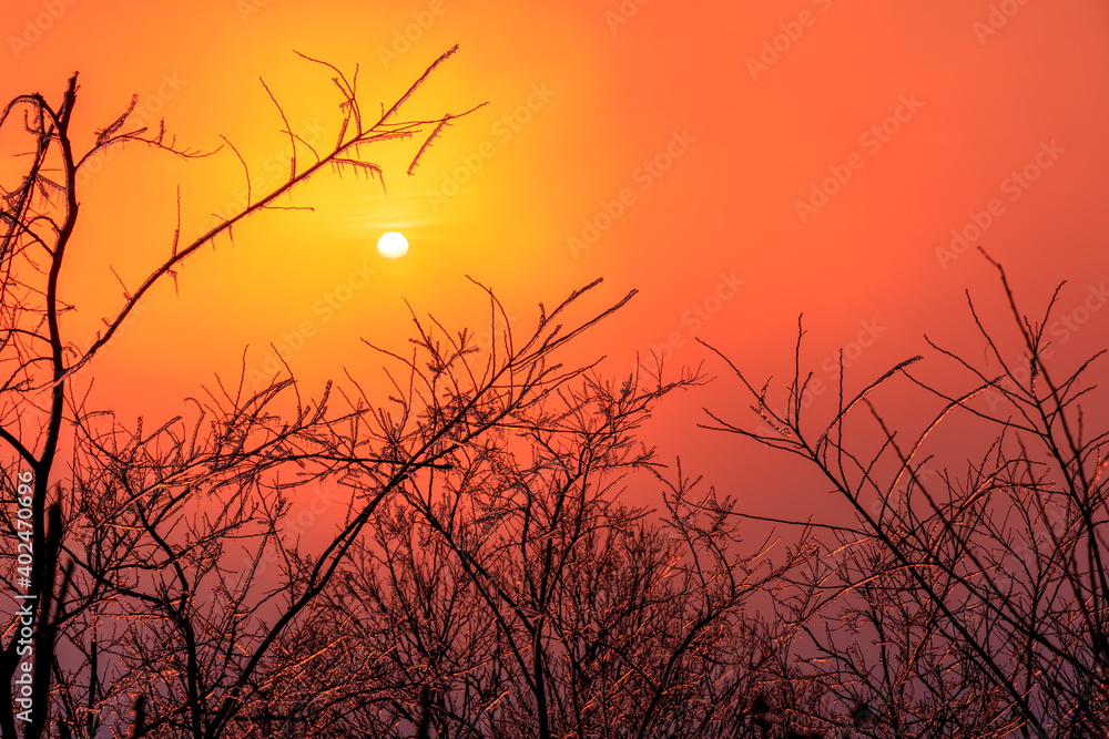 Founder’s Vision Overlook – Sunrise through fog clouds with closeup of ice covered trees Founder’s Vision Overlook – Sunrise through fog clouds with closeup of ice covered trees