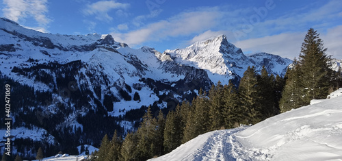 Foto Spuren von Schneeschuhläufern und Skitourengängern