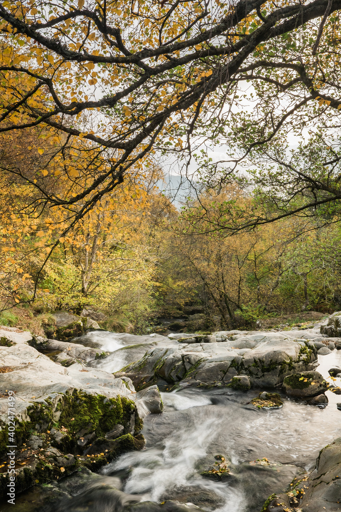 Aira Force Wasserfall