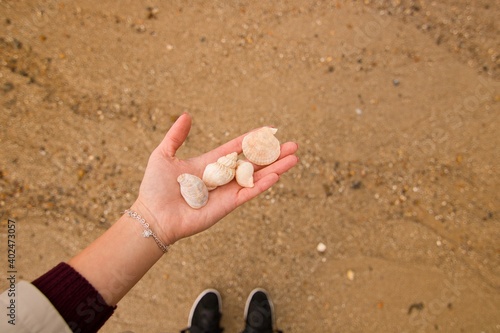 Womans hands with shells on the beach