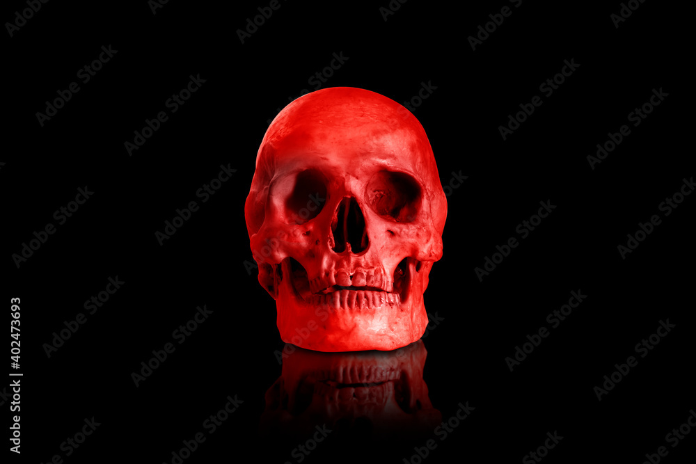 skull and blood skull and blood