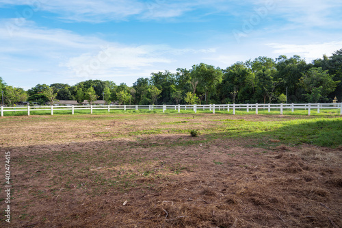 landscape of horse farm