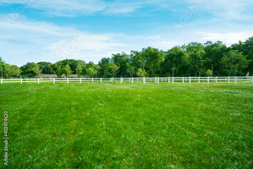 landscape of horse farm