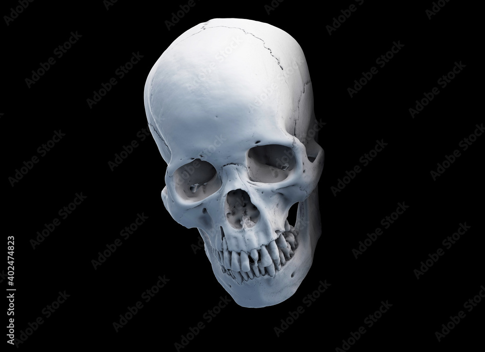 Human skull with an open lower jaw on a Dark isolated background. The concept of death, immortality, eternal life, horror. Acult symbol. Spooky Halloween symbol. 3D render Human skull with an open lower jaw on a Dark isolated background. The concept of death, immortality, eternal life, horror. Acult symbol. Spooky Halloween symbol. 3D render