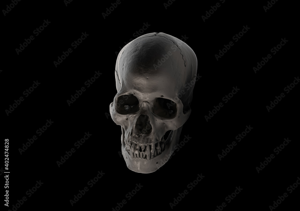 Human skull with an open lower jaw on a Dark isolated background. The concept of death, immortality, eternal life, horror. Acult symbol. Spooky Halloween symbol. 3D render Human skull with an open lower jaw on a Dark isolated background. The concept of death, immortality, eternal life, horror. Acult symbol. Spooky Halloween symbol. 3D render