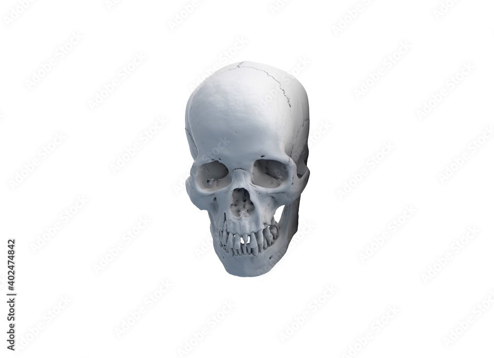 Human skull with an open lower jaw on a Dark isolated background. The concept of death, immortality, eternal life, horror. Acult symbol. Spooky Halloween symbol. 3D render