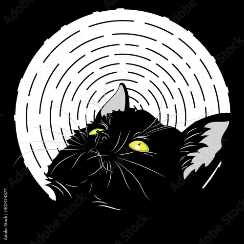 Black kitten looking up