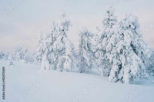 Finnische Winterlandschaft in Luosto. © Sandro