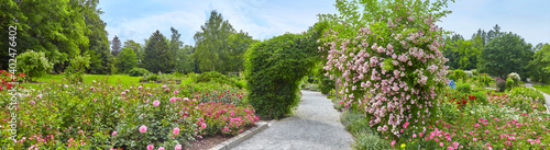 Slika na platnu Beautiful park with flower beds and roses in a panoramic format.