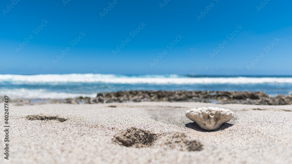 Grand Anse beach Reunion Island Grand Anse beach Reunion Island