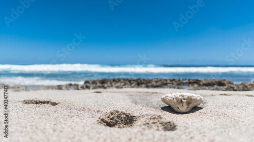 Grand Anse beach Reunion Island