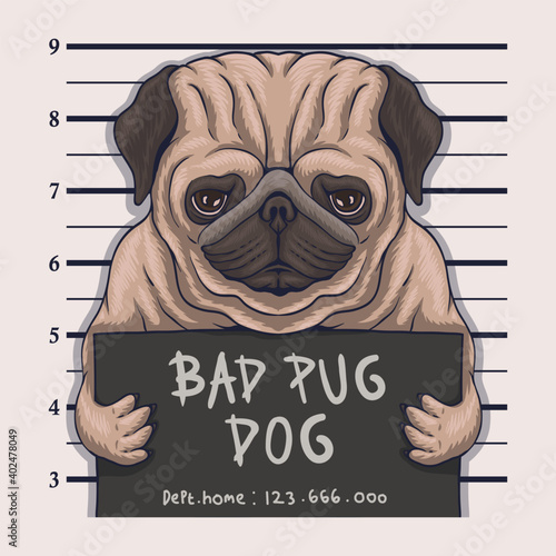 Bad pug dog crime vector illustration